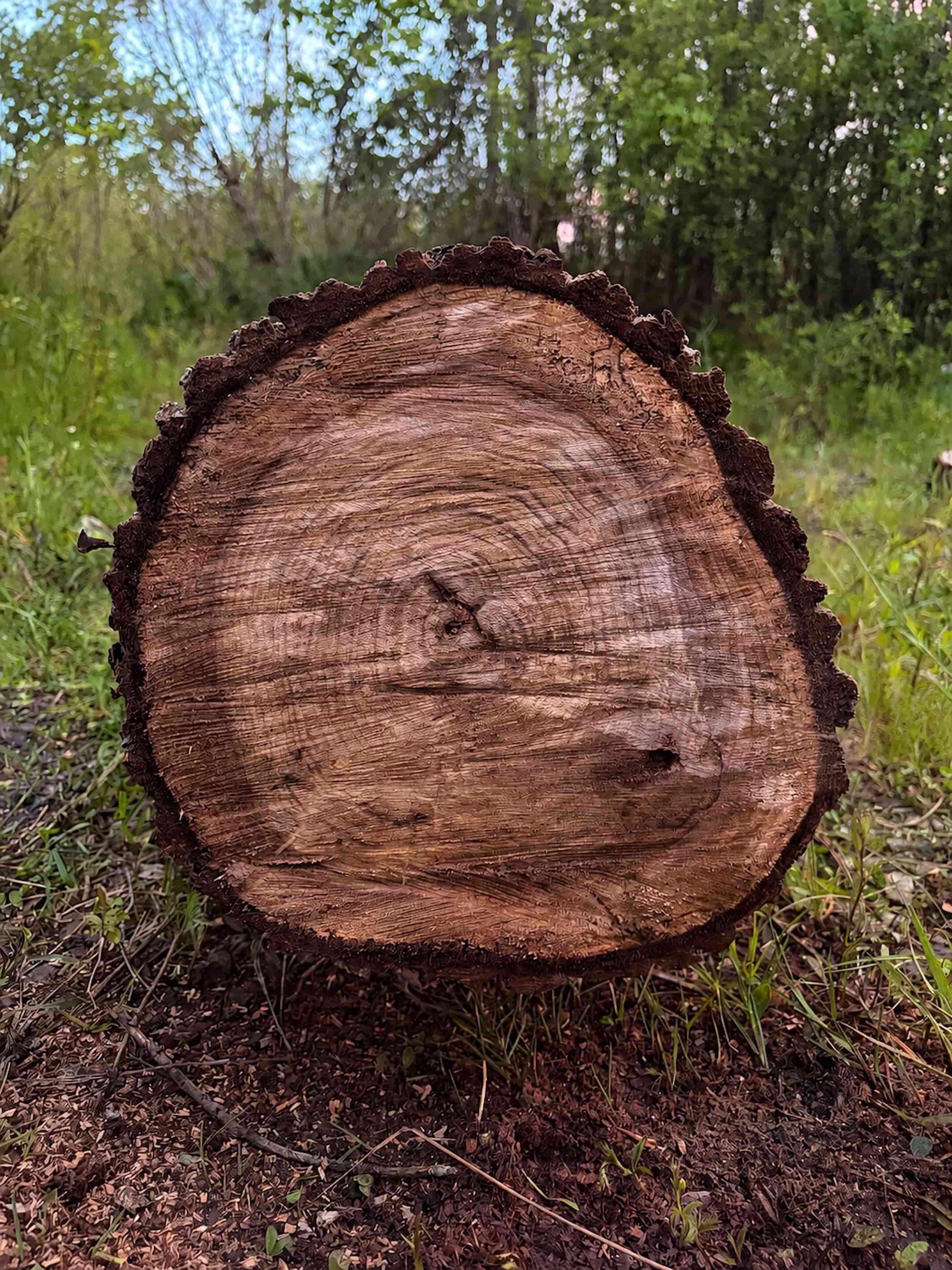 Handcrafted wood cross-section showing natural grain — Heritage Co.